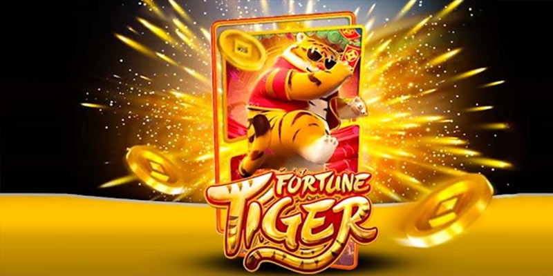 Quem é o Fortune Tiger win444.Com